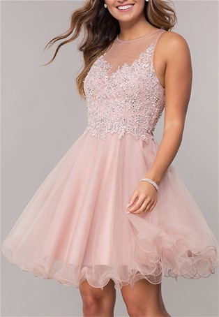 tulle embroidered bodice short dress