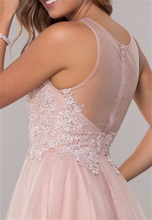tulle embroidered bodice short dress