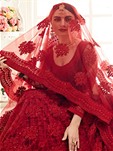 red net wedding lehenga choli